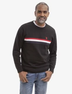 U.S. Polo Assn. SIGNATURE STRIPE CREW NECK SWEATER