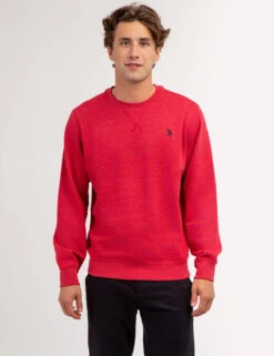 U.S. Polo Assn. SOLID CREW NECK SWEATSHIRT 34 U.S. Polo Assn. SOLID CREW NECK SWEATSHIRT -Modern Wear Shop 1186438R RDHT 67307