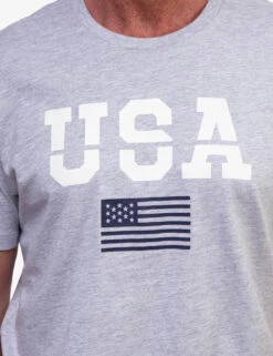 U.S. Polo Assn. USA GRAPHIC T-SHIRT -Modern Wear Shop 11A31404 LTGY 0324