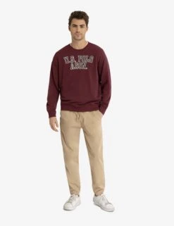 U.S. POLO ASSN. FRENCH TERRY APPLIQUE PULLOVER -Modern Wear Shop 11A93187 MNBR 3193