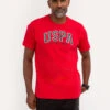 U.S. Polo Assn. USPA GRAPHIC JERSEY CREW NECK T-SHIRT