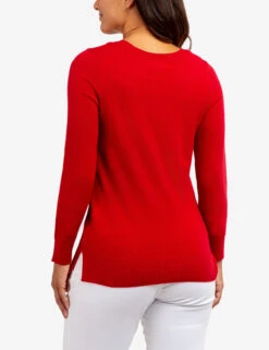 U.S. Polo Assn. SOFT TOUCH V-NECK SWEATER -Modern Wear Shop 21025C1D ERED 63981