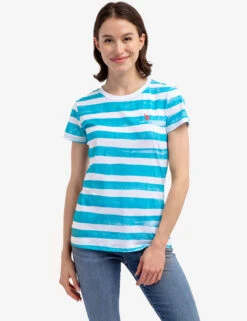 U.S. Polo Assn. PAINT STRIPE CREW NECK T-SHIRT -Modern Wear Shop 21571806 SCBL 54670