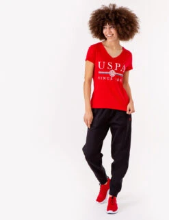 U.S. Polo Assn. USPA MEDALLION V-NECK T-SHIRT -Modern Wear Shop 2158451D ERED 72762