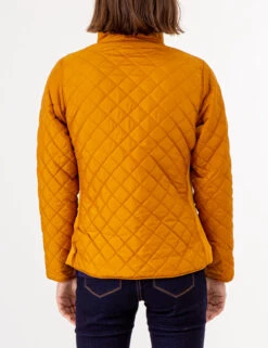 U.S. Polo Assn. QUILTED SIDE KNIT MOTO JACKET -Modern Wear Shop 629599PT BTRS 72659