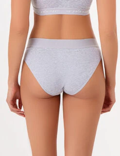 U.S. Polo Assn. 5PK COTTON HI-CUT BIKINIS -Modern Wear Shop HEATHERGRAY 77554